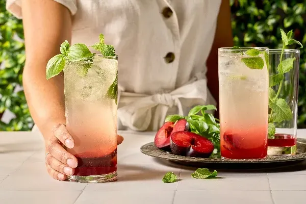 Une personne portant un ensemble en lin de couleur crème tient un grand verre de boisson étagée à la prune garni de feuilles fraîches de basilic et de menthe. À la base du verre, une couche de fruit rouge foncé et, pour le reste, une boisson pétillante légèrement colorée. Sur la table se trouvent d’autres verres, des herbes fraîches et des prunes coupées en deux sur un plateau argenté, le tout sur une toile de fond d’un vert vibrant.