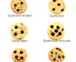 Biscuits 101: la science derrière la cuisson