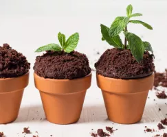 Cupcakes pots de fleurs au chocolat