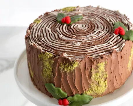 Gâteau Bûche de Noel
